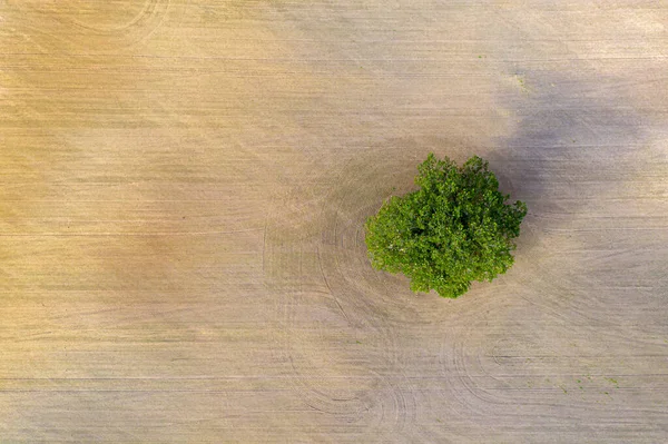 Vue Haut Vers Bas Zone Rurale Avec Champ Fraîchement Cultivé — Photo