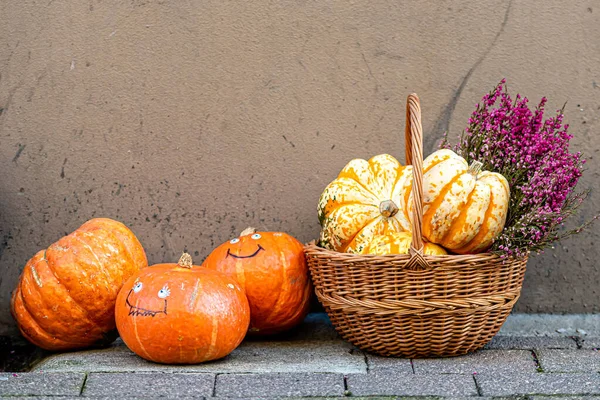 Çeşitli balkabağı ve çiçeklerle Cadılar Bayramı dekoru, sonbahar mahsulü, toplanma veya hasat