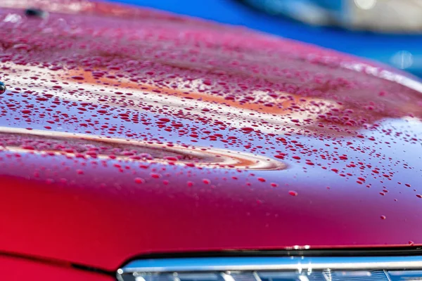 赤い車のフード クローズアップ 選択的フォーカスに雨が降った後に水が落ちる — ストック写真