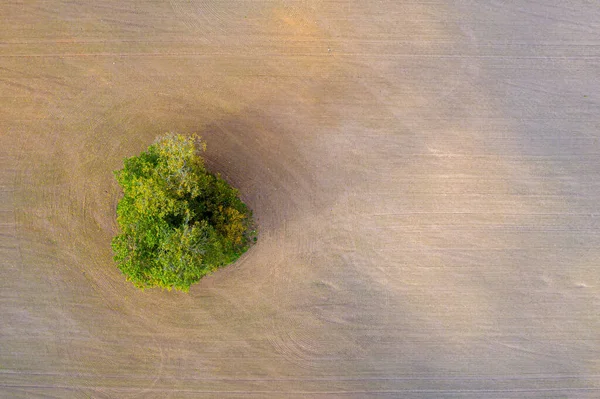 Top View Rural Area Freshly Cultivated Field Green Brown Single — Stock Photo, Image