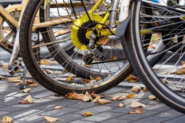 Yoldaki bisiklet tekerleklerini kapatın.