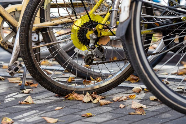 Zamknij Rząd Kół Rowerowych Parking Drodze — Zdjęcie stockowe