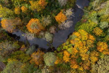 river with colorful autumn riversides top down view, abstract autumn background