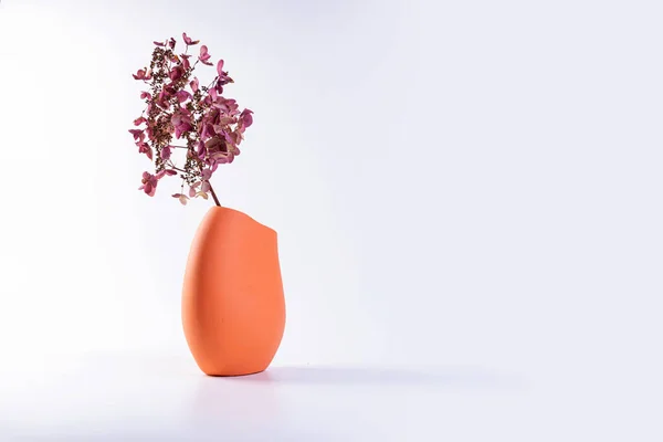 薄紫色の背景にドライフラワーのあるセラミック花瓶 — ストック写真