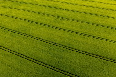 Vith çizgilerinin üzerinden yeşil tarımsal alan, soyut doğal desen