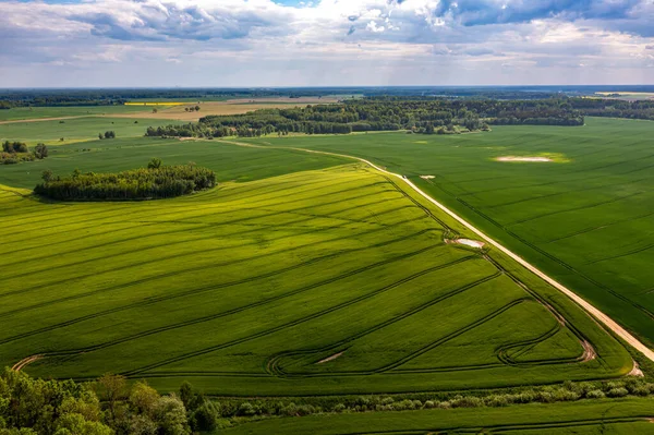 对拥有绿色农田和森林的农村的鸟瞰 拉脱维亚 — 图库照片