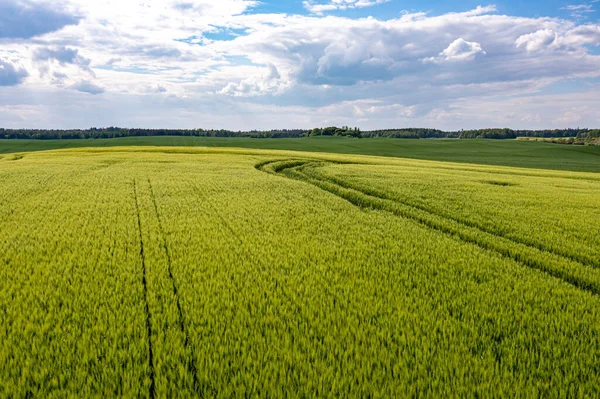 Uitzicht Vanuit Lucht Het Platteland Met Groene Landbouwvelden Bossen Letland — Stockfoto