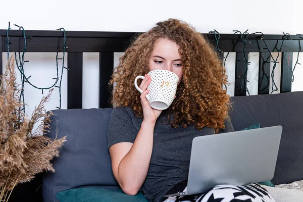 Göndör Iszik Teát Használja Laptop Dolgozni Ágyon Munka Otthonról Szabadúszó — Stock Fotó
