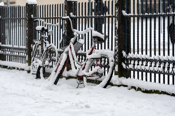 Sněhem Pokrytá Kola Jsou Zaparkovaná Uzamčená Plotu Chodníku Zimním Městě — Stock fotografie