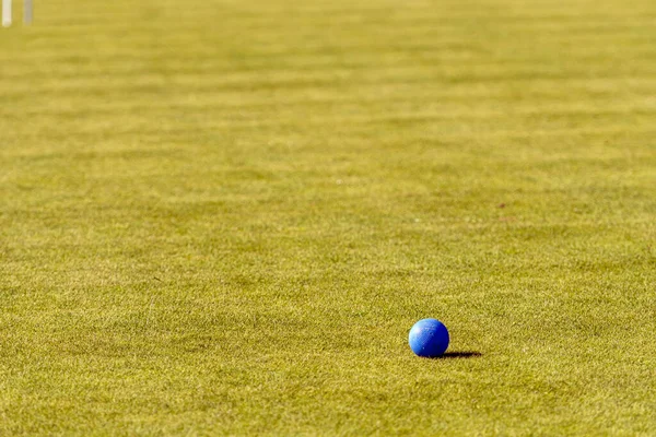 Palla Croquet Blu Sul Prato Una Giornata Sole Minimalismo Spazio — Foto Stock