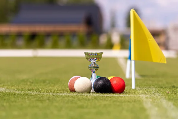 Zestaw Kolorowych Kulek Krokieta Puchar Zwycięzców Zielonym Trawniku Przed Grą — Zdjęcie stockowe
