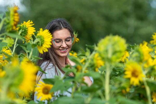 Giovane Bruna Piuttosto Sensuale Campo Girasoli Fiore Ritratto Giovane Donna — Foto Stock