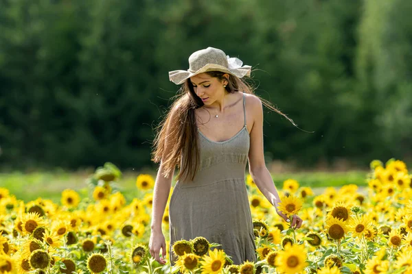 stock image beautiful young woman in straw hat and linean country style dress walks through a field of sunflowers