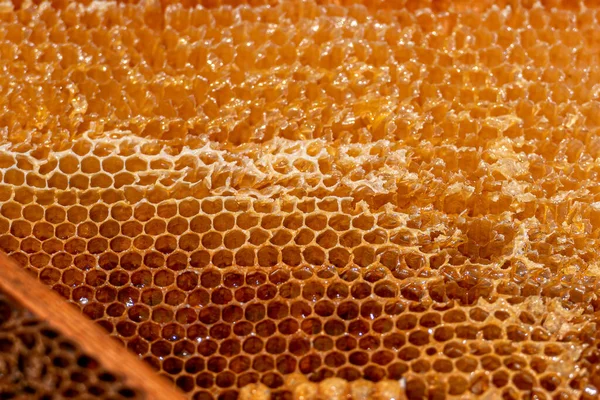 空のハニカムを持つ木製のフレームの山 蜂蜜の櫛の木製のフレーム クローズアップ — ストック写真
