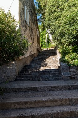 Çerçevelenmiş yemyeşil ve doğal ışık tarafından çerçevelenmiş tuhaf bir eve doğru yükselen taş adımlar..