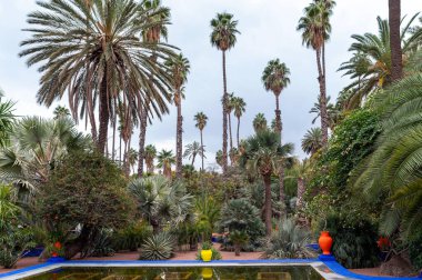 Fas 'ın huzurlu ortamında içi palmiye ağaçları ve renkli saksılarla dolu yemyeşil bir bahçe..