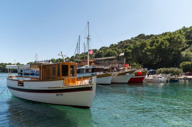 Kolops adası, Dubrovnik, Hırvatistan - 19 Eylül 2025: Kolocep limanına çok sayıda tekne yanaştı, yemyeşil ağaçlar ve berrak sularla çevrili.