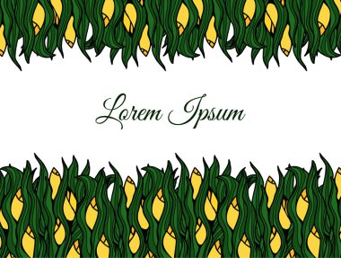 bahar çiçekleri. laleler.