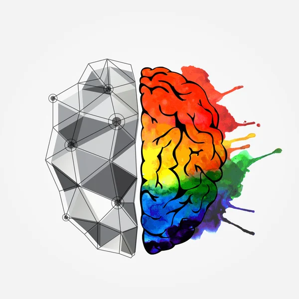 Concept du cerveau humain — Image vectorielle