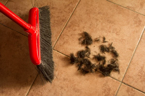 Pérdida de cabello después de la quimioterapia en una niña con el pelo perdido o cortado en el suelo — Foto de Stock