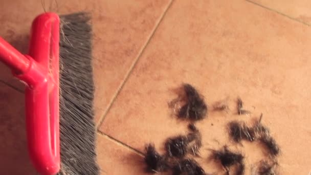 Pérdida de cabello después de la quimioterapia en una niña con el pelo perdido o cortado en el suelo — Vídeo de stock