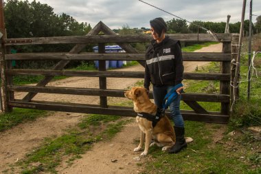 K9 köpeği, polis tarafından çıtır çıtır ile ödüllendiriliyor.