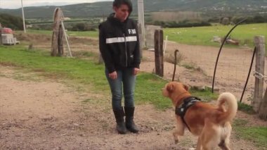 K9 köpeği, polis tarafından çıtır çıtır ile ödüllendiriliyor.