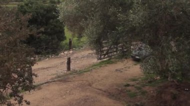 İşaretlenmemiş mavi ışıklı sivil polis arabası operasyon halinde.