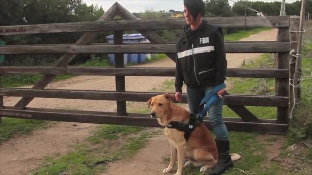 Собака К9 награждена хрустящей корочкой полицейской — стоковое видео