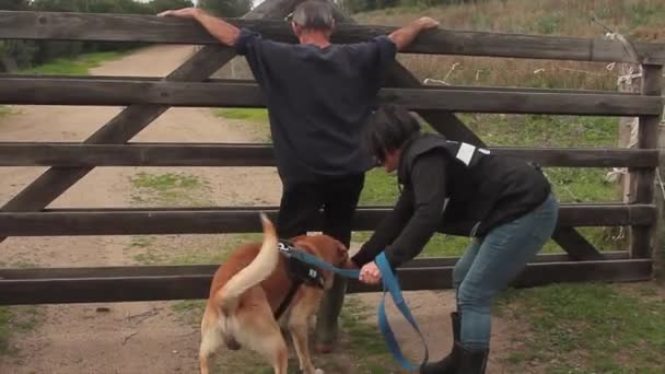 Búsqueda con k9 perro antidroga en hombre sospechoso — Vídeos de Stock