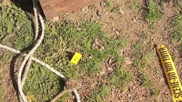 Helyszínelő nyomozó a fáról lógó felakasztott halott ember lába előtt — Stock videók
