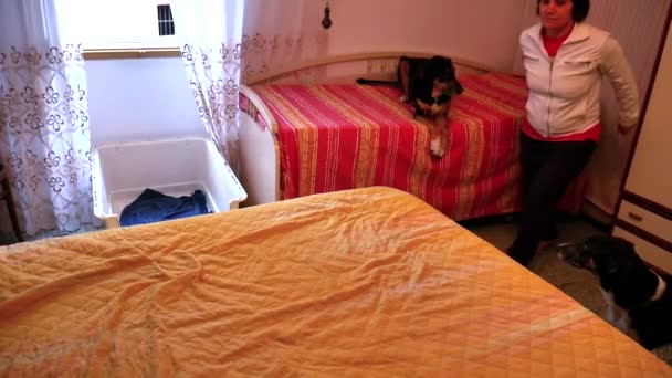 Kaukasische Mädchen spielen auf dem Bett taucht frontal auf die Matratze — Stockvideo