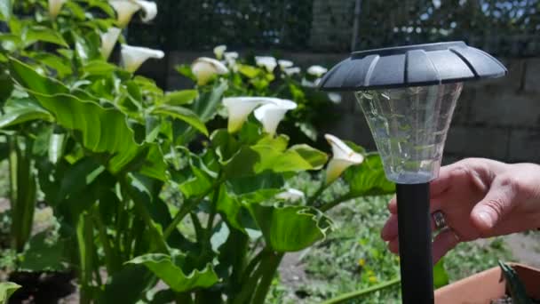 Κλείσιμο των ηλιακών φωτιστικών κήπου με το ηλιακό πάνελ σε κήπο — Αρχείο Βίντεο