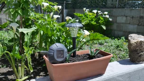 Close up of solar garden lights with the solar panel in a garden garden — Stock Video