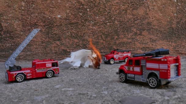 Ladderwagens, brandweerwagens, in noodgevallen die de brand blussen — Stockvideo