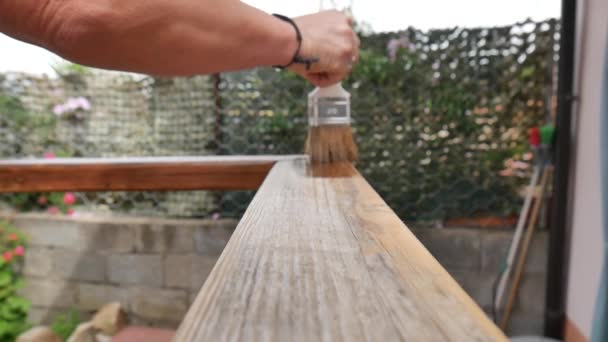 Mano de madera pintura profesional con agente impregnante, para madera un marrón — Vídeos de Stock