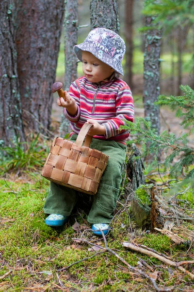 A boy with a mushroom and a basket in the woods Royalty Free Stock Images