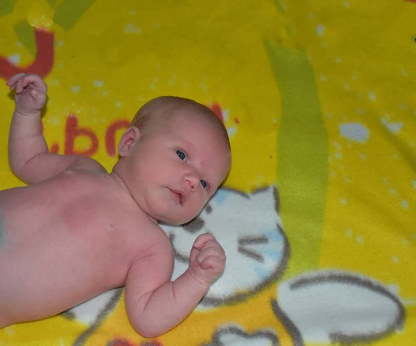 Mooie Pasgeboren Baby Jeugd — Stockfoto
