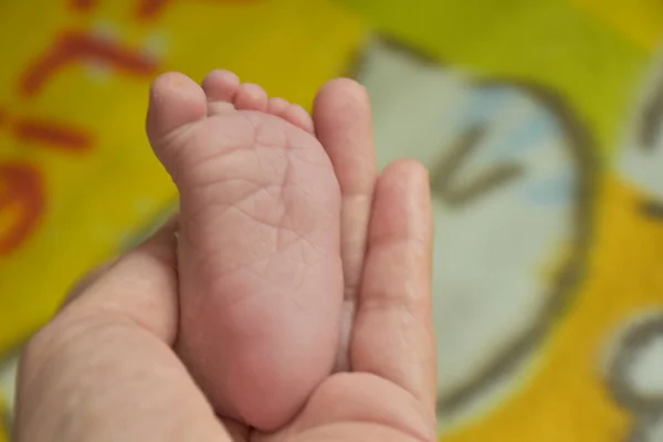 Podpatky Novorozence Rukou Matky — Stock fotografie