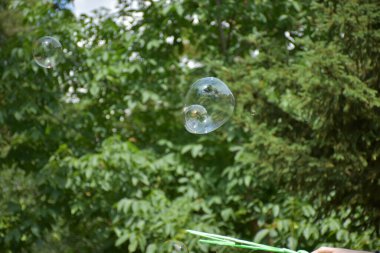 bir manzara üzerinde sabun köpükleri,