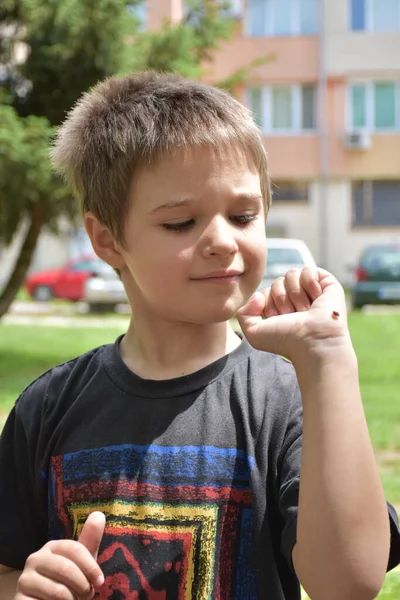 Ladybug Hand Van Een Kind — Stockfoto