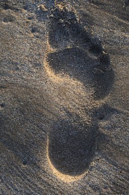 Kumdaki tek ayak izinin yakın görüntüsü