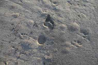 Gündüz vakti kumlu sahil yüzeyinde görünen ayak izleri.