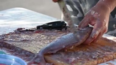 Balıklar masada bıçak ve balık makasıyla temizleniyor.,