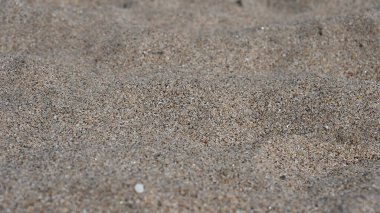 Kumsal yüzeyinin yakın görüntüsü