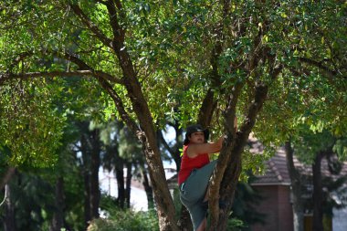 Çocuk yaz parkında yeşil ağaca tırmanıyor.