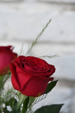 Manzaranın arka planında güzel çiçekler,