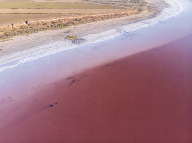 Ukrayna 'da Kırmızı Kuyalnik' in Beyaz Tuz Sahilleri Liman, Yazın Odessa