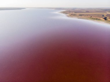 Ukrayna 'da Kırmızı Kuyalnik' in Beyaz Tuz Sahilleri Liman, Yazın Odessa