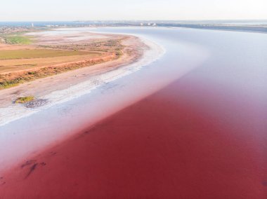 White Salt Shores of Red Kuyalnik Liman in Ukraine, Odessa at Summer clipart